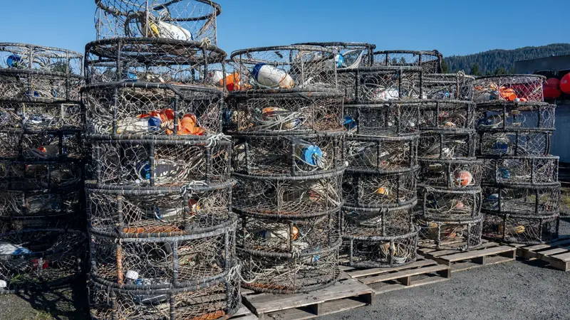 Casiers à crabes empilés sur des palettes au bord d'un quai de pêche