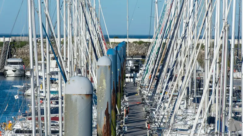 Ponton d'un port de plaisance entre deux rangées serrées de mâts de voiliers, derrière une digue de pierre