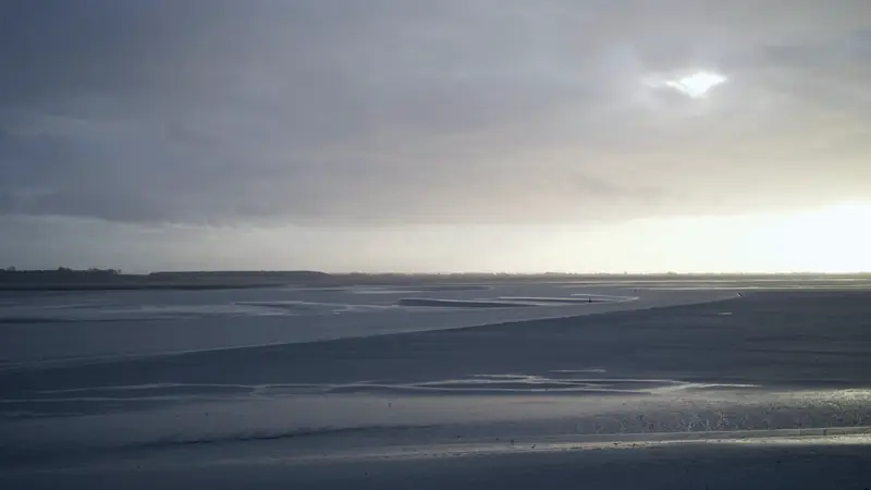Vaste estran de sable et de vase découvert à marée basse sous un ciel nuageux, avec des chenaux d'eau