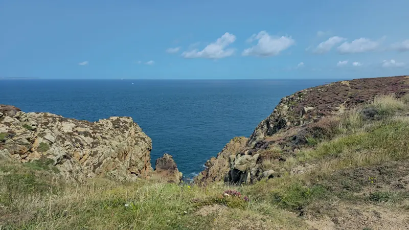 Sentier herbeux et lande fleurie au sommet d'une falaise dominant une mer bleue