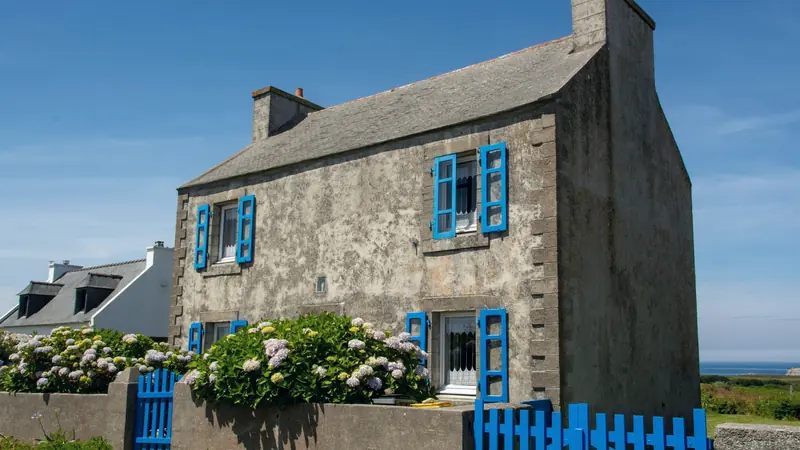 Maison bretonne en pierre aux volets bleus, hortensias en fleurs devant et mer au loin