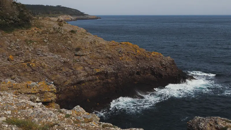 Côte rocheuse couverte de lichen orangé, vagues qui se brisent au pied de la falaise et cap boisé au loin
