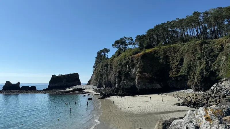 Crique de sable au pied d'une falaise boisée de pins, rochers au large et baigneurs dans une eau calme