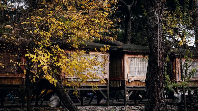 Cabanes en bois sur pilotis sous de grands arbres aux feuilles d'automne