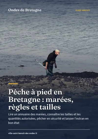 Couverture de l'ebook Pêche à pied en Bretagne : marées, règles et tailles