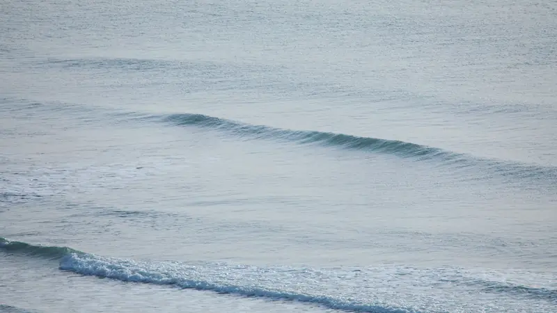 Houle régulière qui déferle en rouleaux près du rivage sur une mer calme