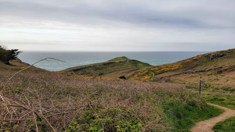 Sentier côtier en terre serpentant entre ronciers et ajoncs en fleurs vers une pointe herbeuse face à la mer