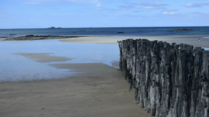 Brise-lames en troncs de bois sur une plage de sable à marée basse, avec des îlots fortifiés au large