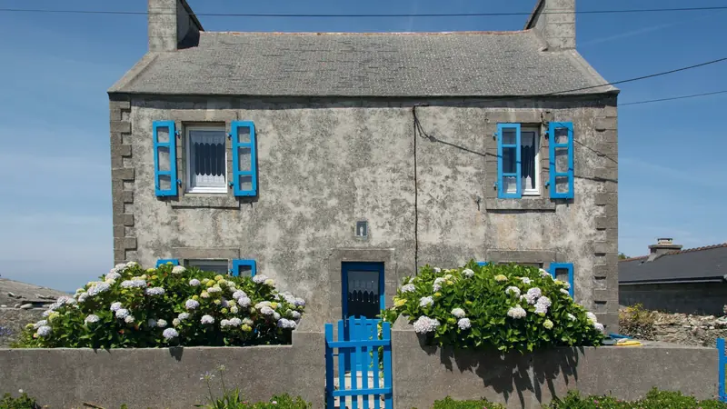 Maison bretonne en pierre aux volets bleus, entourée d'hortensias derrière un muret